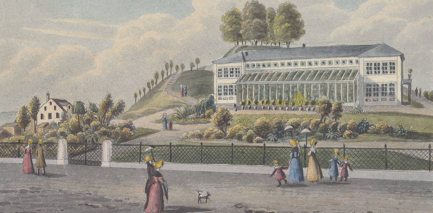 Zürich im Buch: «Zürichs grüne Wunderkammern»