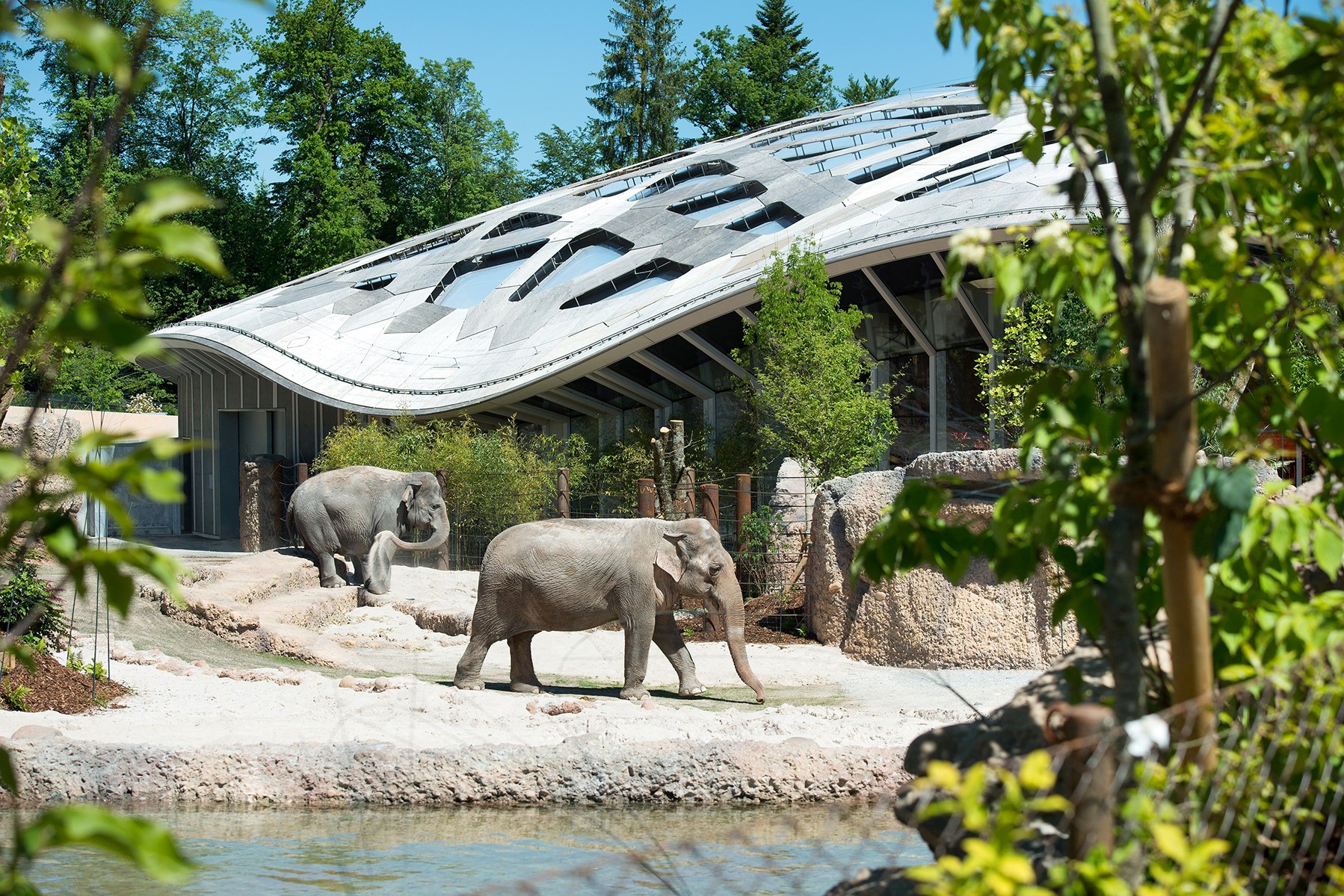 Elefanten im Aussenbereich des Kaeng Krachan Elefantenparks, im Hintergrund die Innenanlage (Bild: Jean-Luc Grossmann / Zoo Zürich)