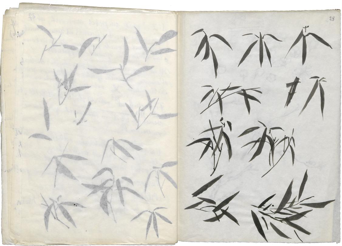 Bamboo leaves, ink drawings by Johannes Itten, around 1960 (Hs NL 11: Cj 3.7.4)