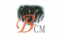 Bibliographie de Civilisation Médiévale