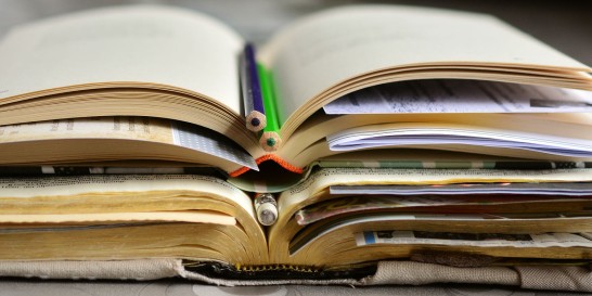 Workshop: Literature Research in Business, Finance, and Economics (engl)