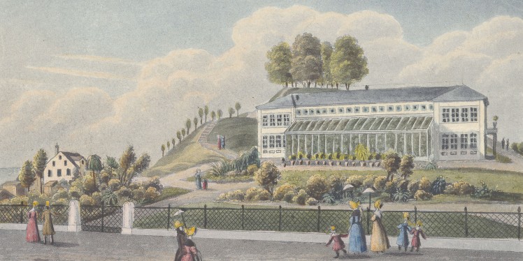 Spaziergang durch Zürichs Gärten und Pärke