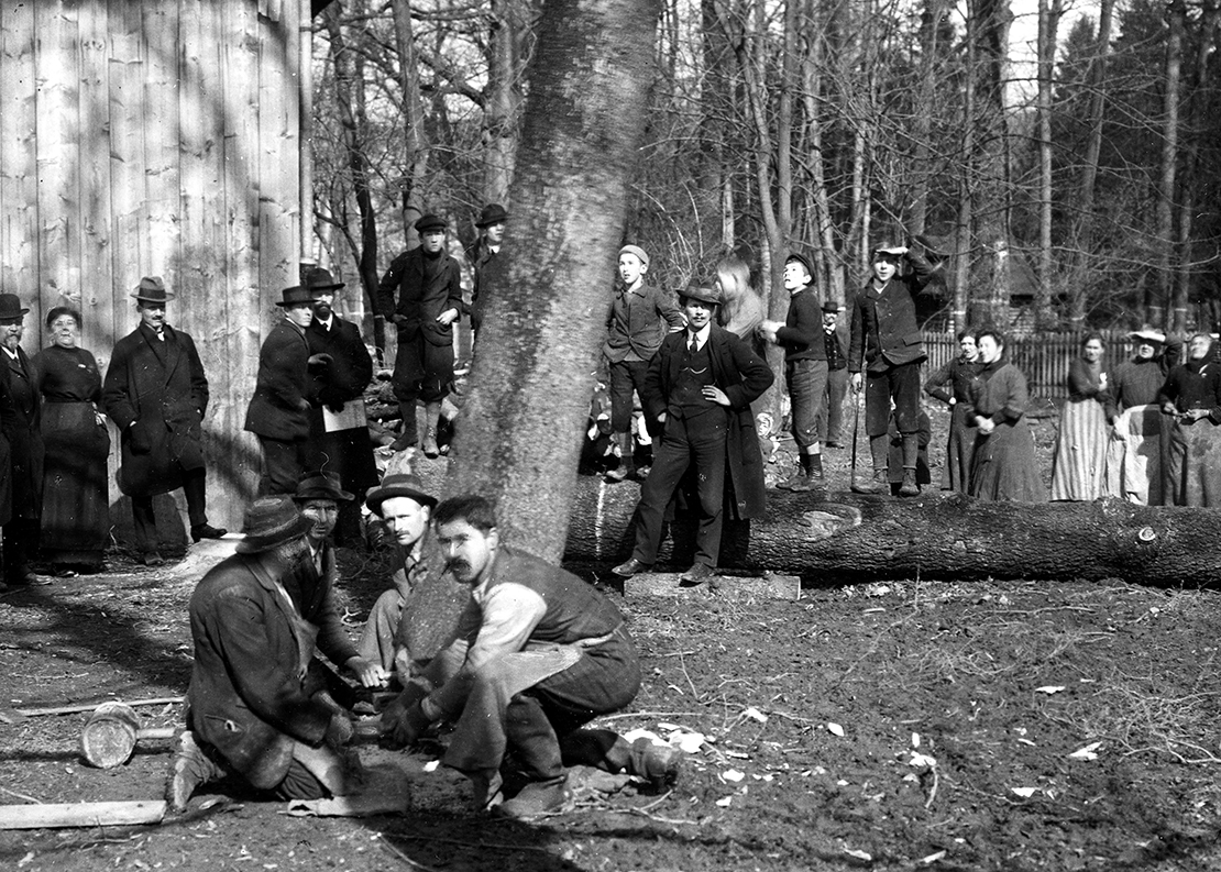 Männer schlagen und sammeln Holz im Stadtpark Sihlhölzli