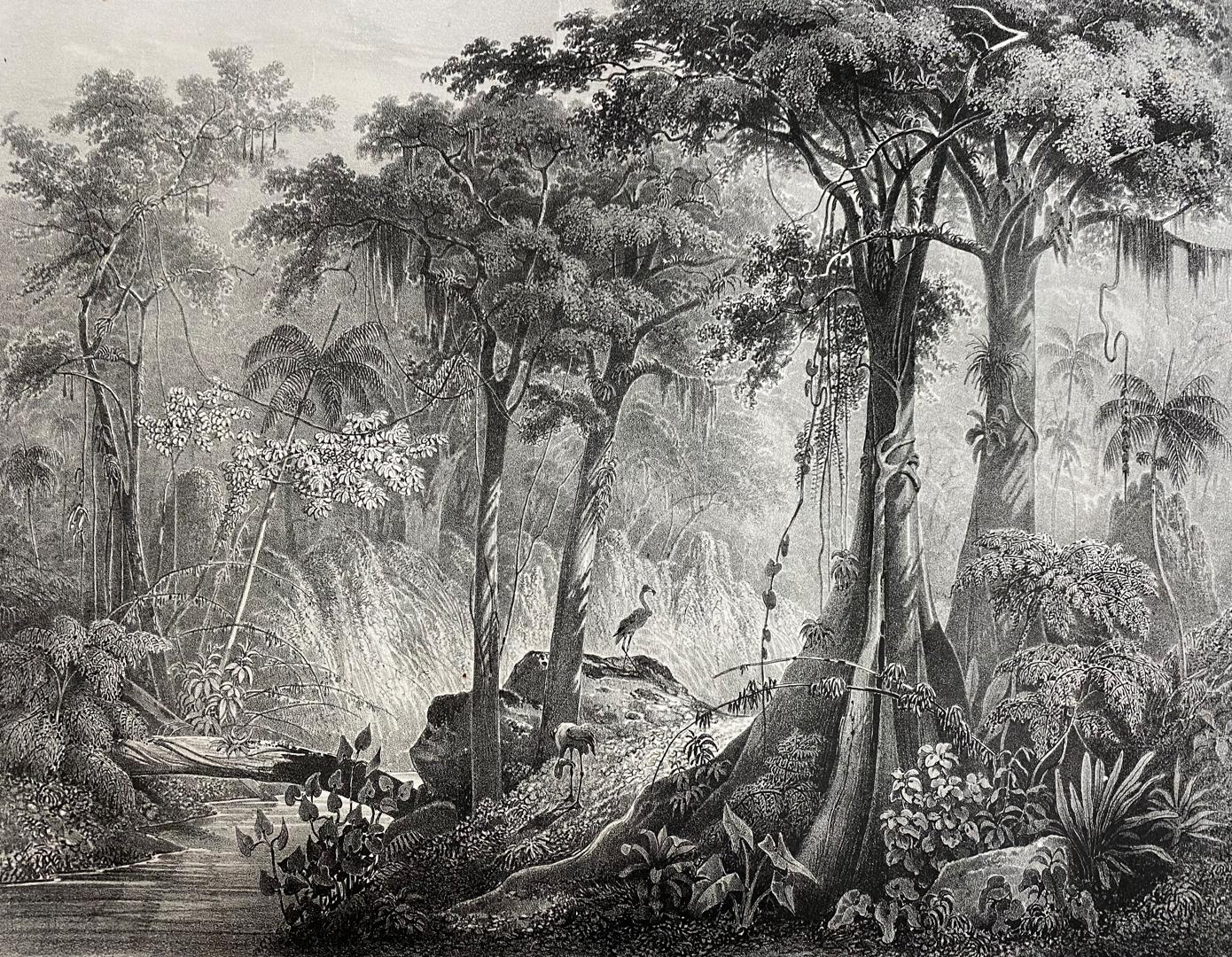 Malerische Reise in Brasilien von 1835