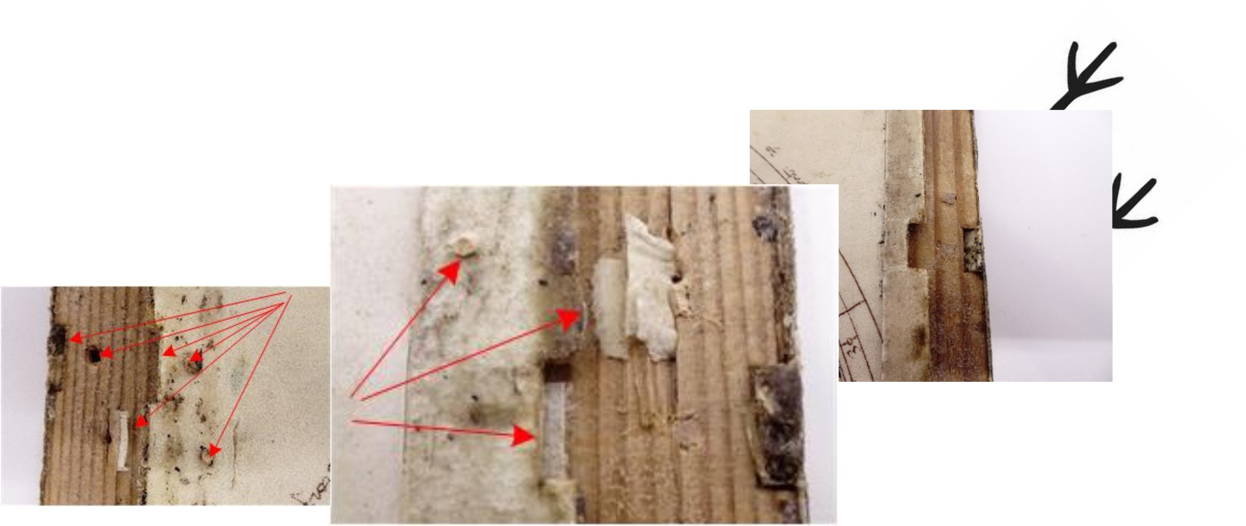 Dank Spuren am Objekt zu einer Einbandrekonstruktion in der Restaurierung