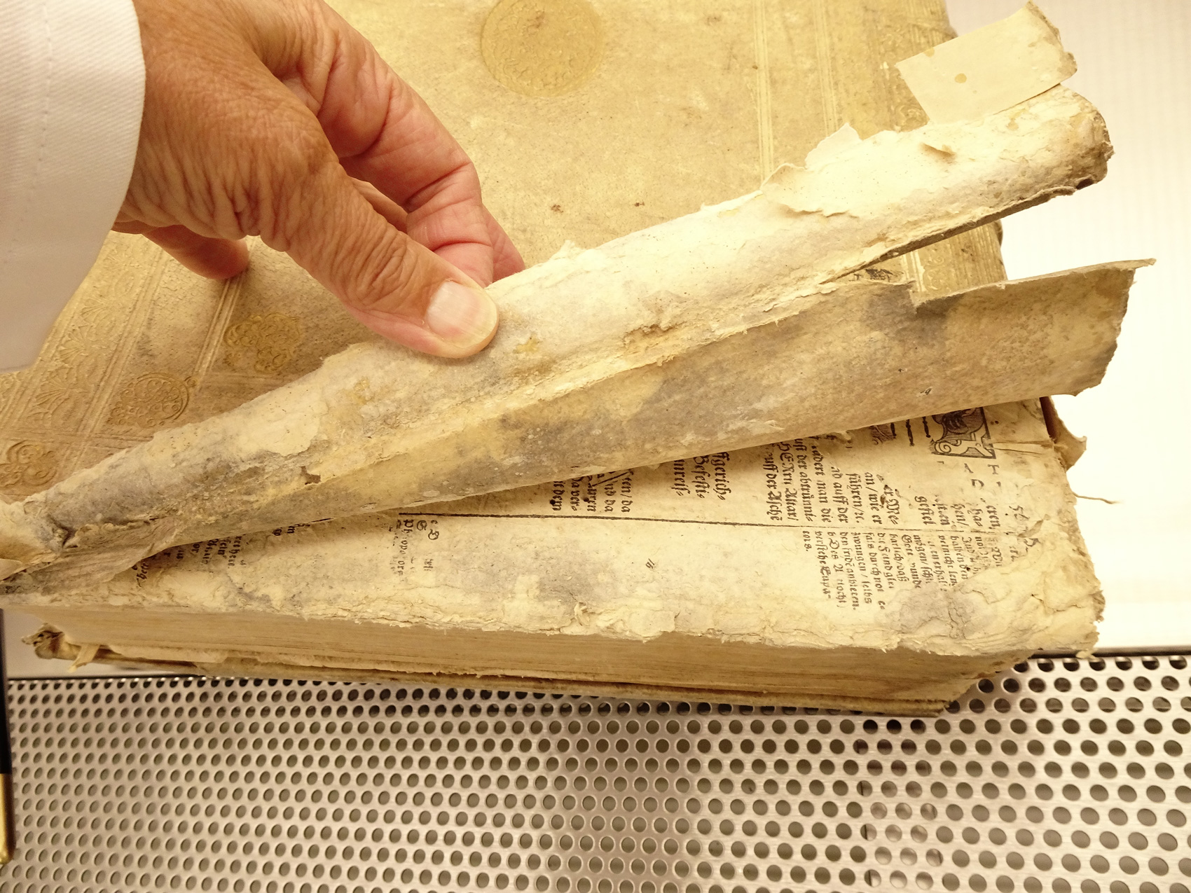 Monster, Pol und Taprobana – entdecken und verorten