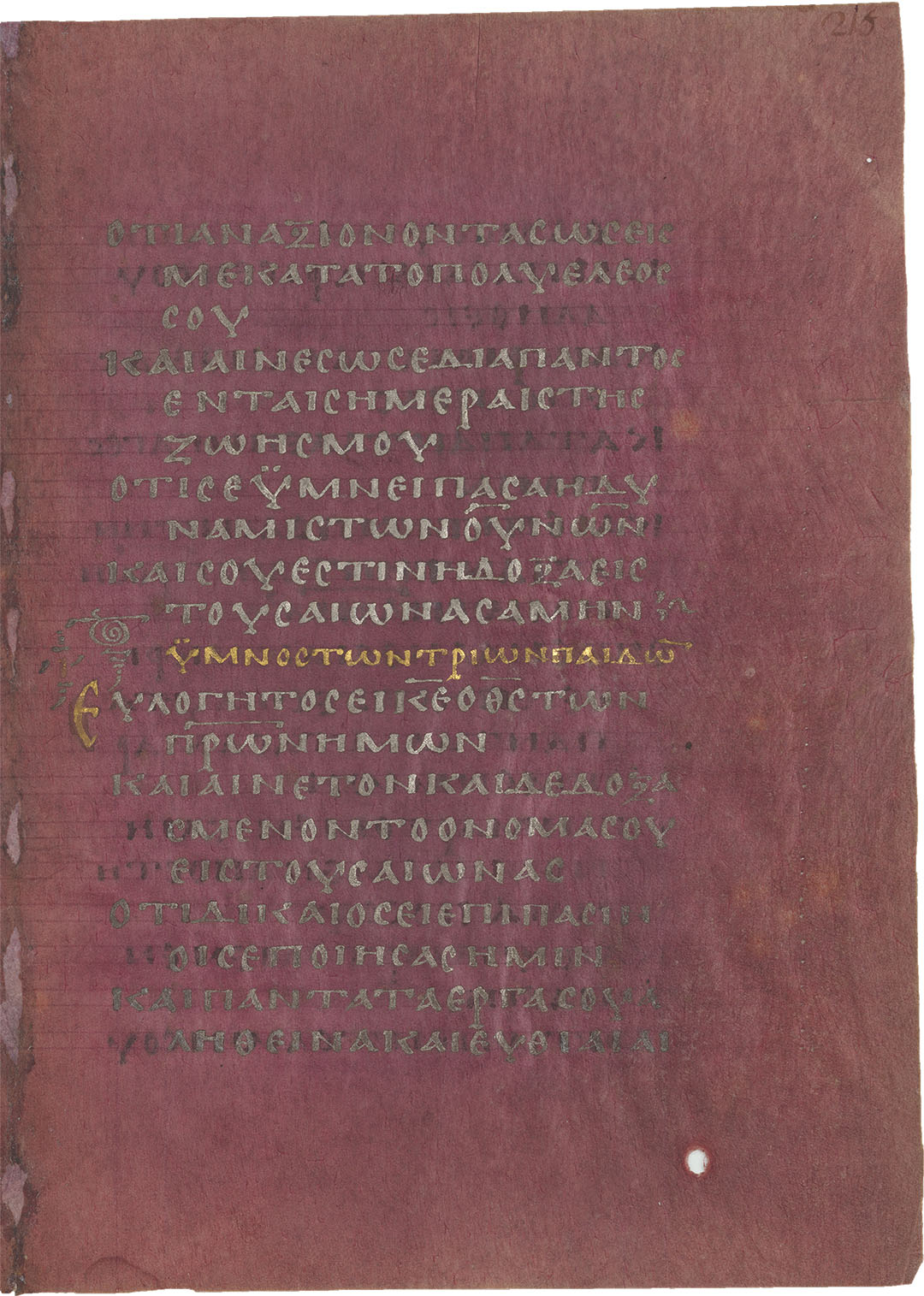 Der Zürcher Purpurpsalter: Ein Rätsel aus Purpur, Silber und Gold