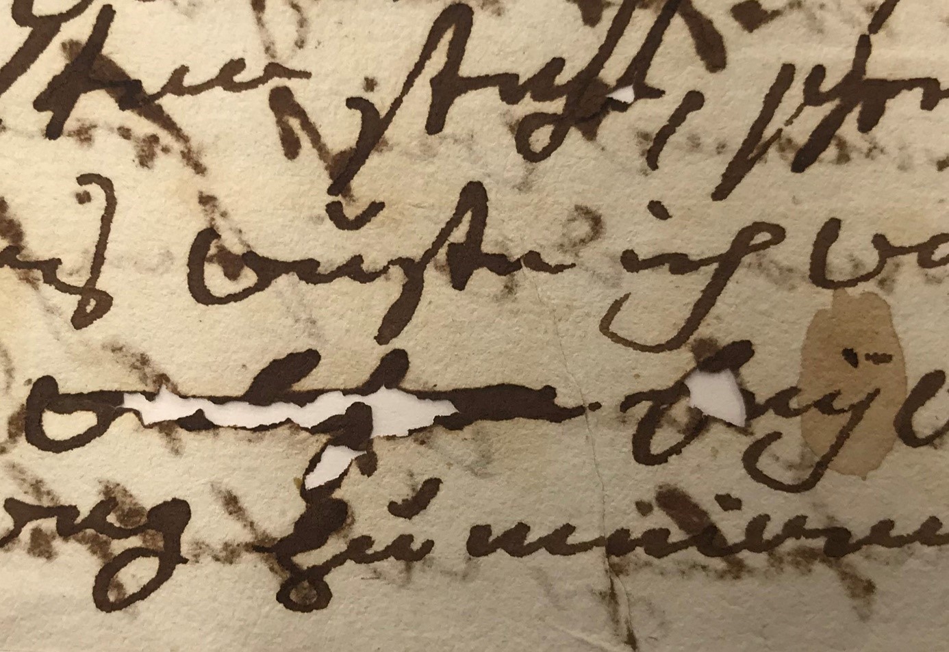 Tinte frisst – Bestandserhaltung rettet